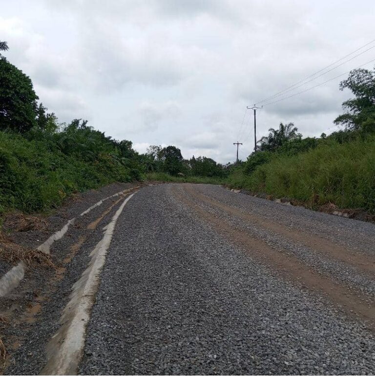 Douala-Bonepoupa: les travaux de chaussée s&rsquo;intensifient