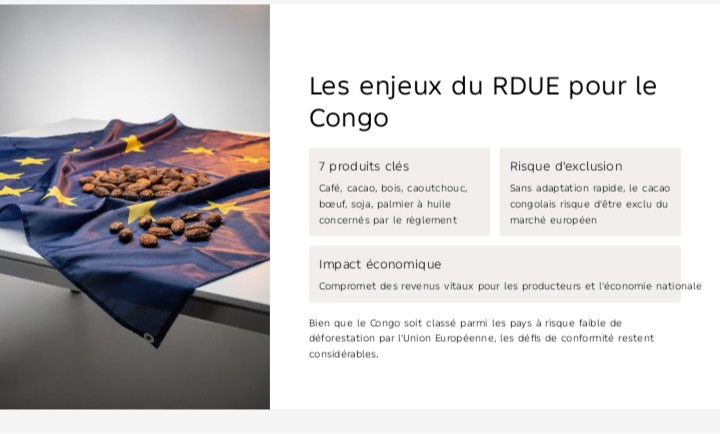 RDUE et cacao : Le Congo sollicite l’appui du Cameroun pour une filière conforme