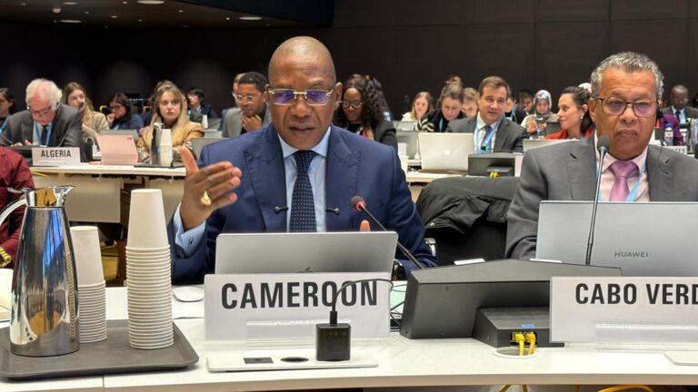 Au Conseil exécutif de l’OMS, le Cameroun plaide pour une santé inclusive, équitable et centrée sur les peuples