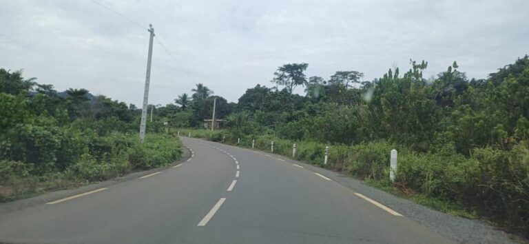 Construction de la route Bingambo–Grandzambi (43 km) : le Groupement SINOHYDRO Corporation Ltd / SINOHYDRO Bureau 14 Co. Ltd attributaire des travaux