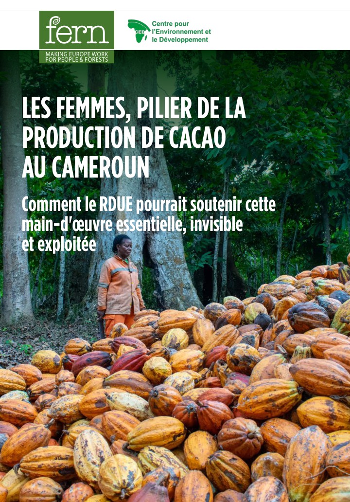 Cacao au Cameroun : Le travail invisible des femmes face au défi du RDUE