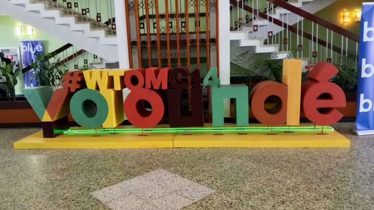 CM 14: « Our World Is Not For Sale” highlights key concerns for developing countries