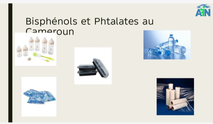 Bisphénols et phtalates : Des toxiques dans nos usages quotidiens