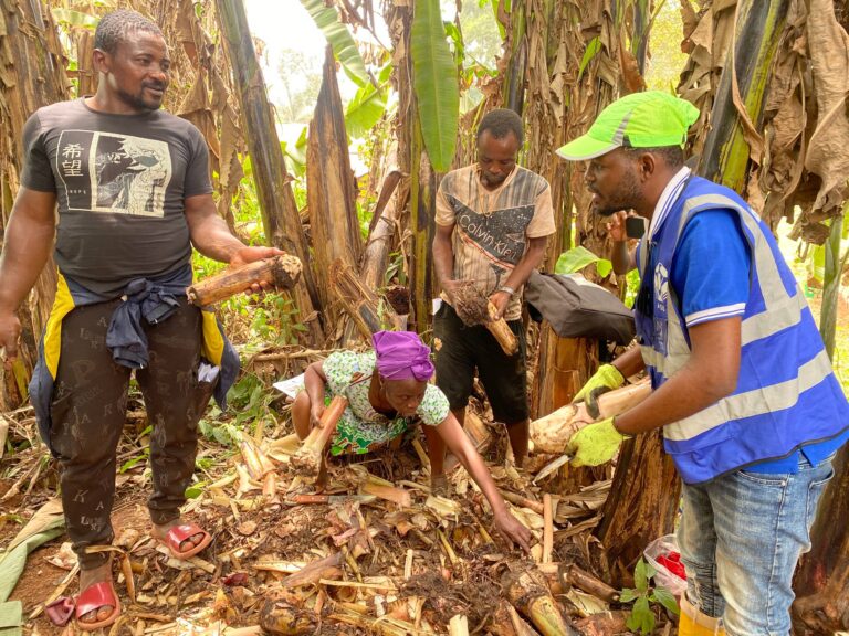 Boumba-Bek : Former les communautés pour protéger la forêt et nourrir le territoire