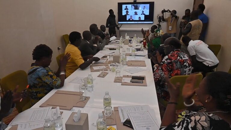 South Sudan Strengthens National Ownership of Peace Through the DPCW Resolution (Part 2)