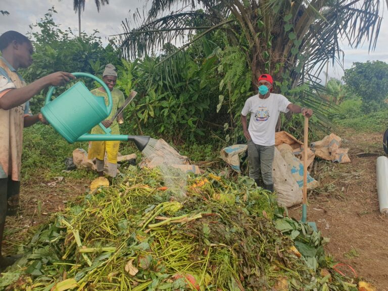 À Kribi, les déchets organiques deviennent un levier pour une agriculture plus durable