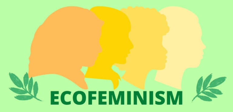 Écoféminisme : JVE veut former les femmes à restaurer les terres dégradées au Cameroun